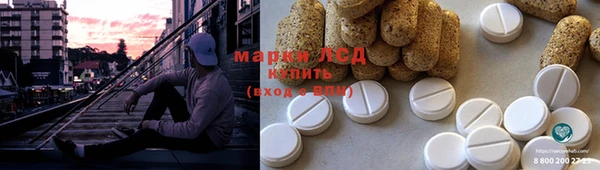 стафф Алексин