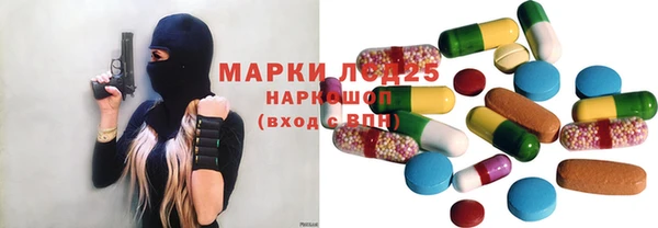 стафф Алексин
