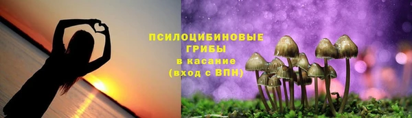 стафф Алексин
