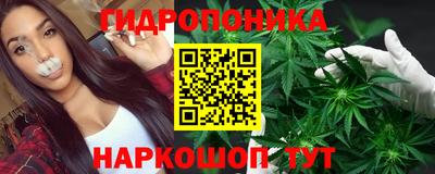 альфа пвп Кингисепп