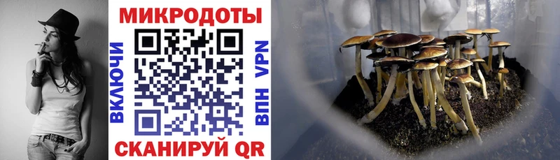 Псилоцибиновые грибы мухоморы дарнет шоп Красноуфимск