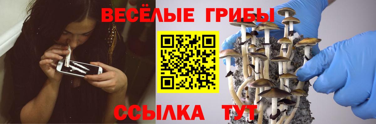 Псилоцибиновые грибы MAGIC MUSHROOMS  Галлюциногенные грибы GOLDEN TEACHER  цена наркотик  Красноуфимск  Вход с VPN 